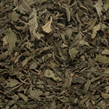 Peppermint Tea